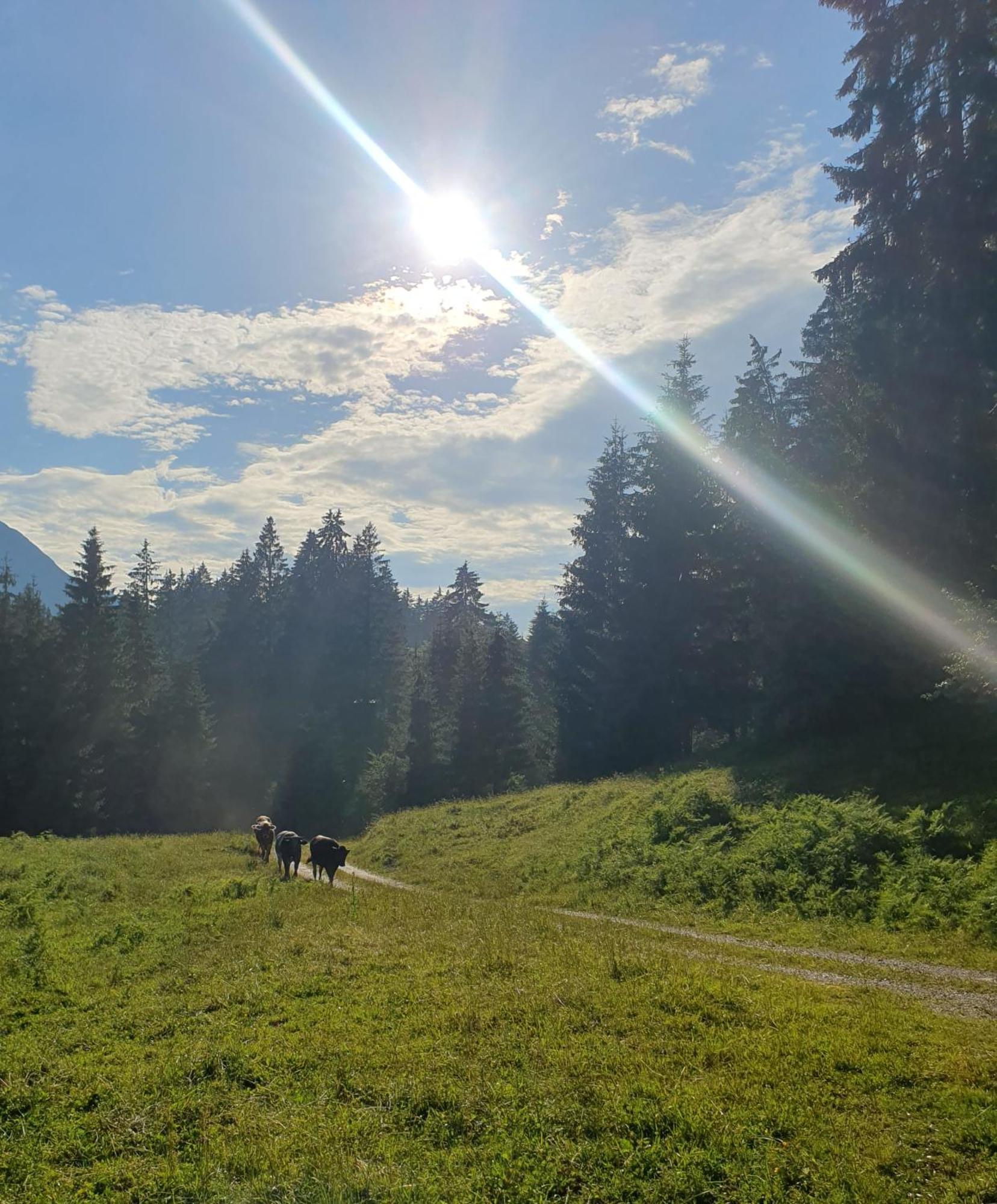 Lechufer, 80M2, Haushaelfte Mit Privatem Eingang, Kaminofen, Terrasse, Garten Pinswang Esterno foto